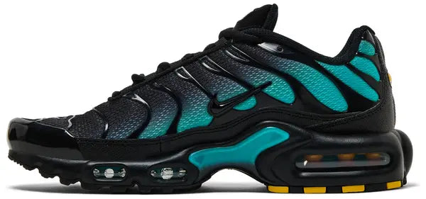 Air Max Plus 'Black Dusty Cactus'