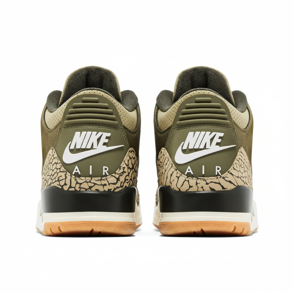 Air Jordan 3 Retro 'Family Affair'