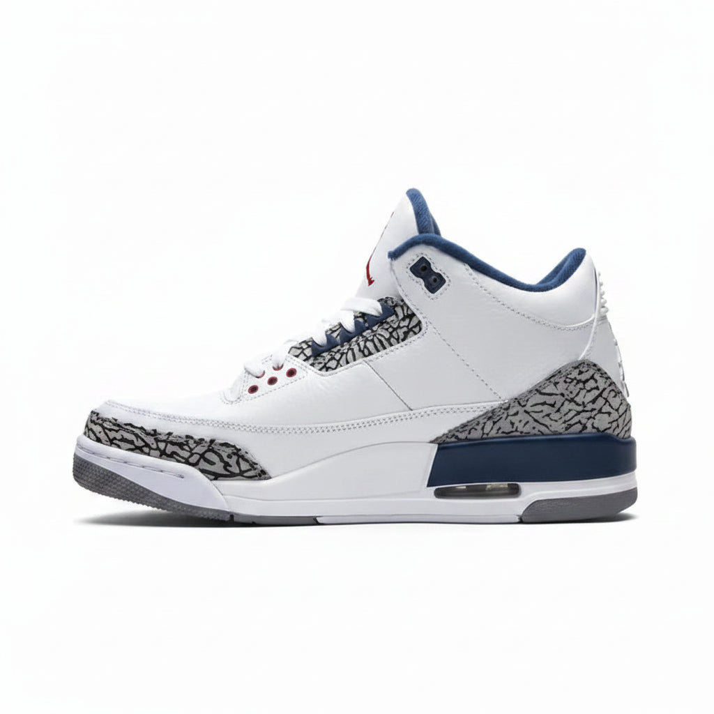 Air Jordan 3 Retro 'True Blue' 2011