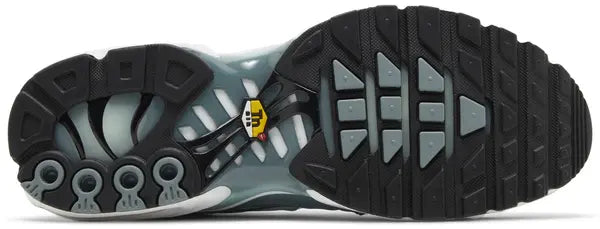 Air Max Plus 'Palm Pack - Waterway'