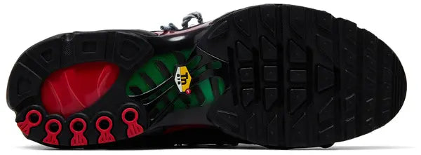 Air Max Plus Homecoming 'Black University Red Court Green'